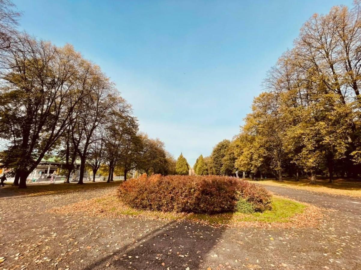 Ktw Park Slaski - Family Delux Apartamento